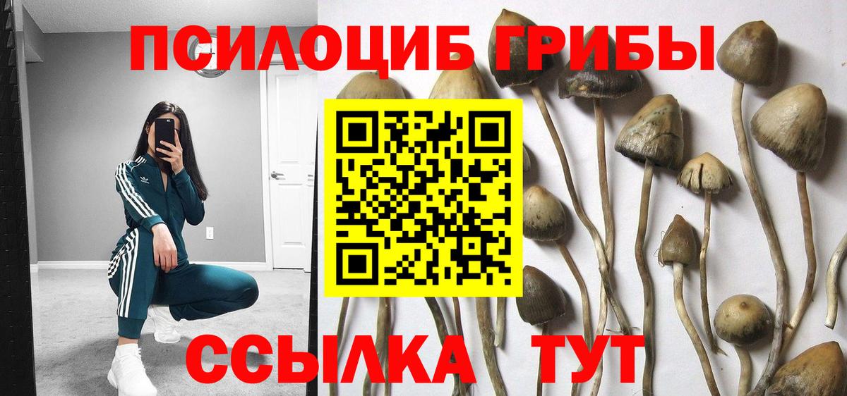 где найти   Галлюциногенные грибы MAGIC MUSHROOMS  Салехард  Вход с VPN  Галлюциногенные грибы Psilocybine cubensis 
